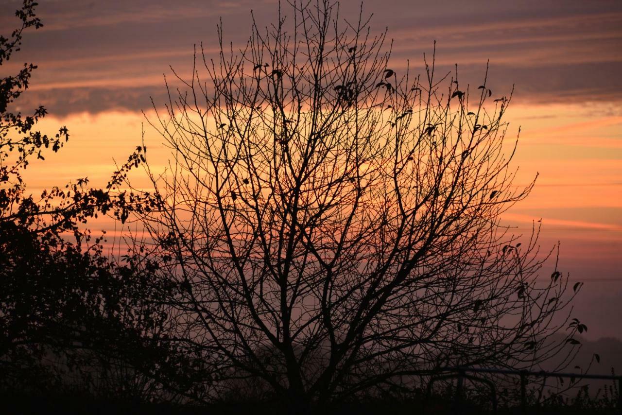 Couloumine Breizh Bed and Breakfast Saint-Aignan  Εξωτερικό φωτογραφία